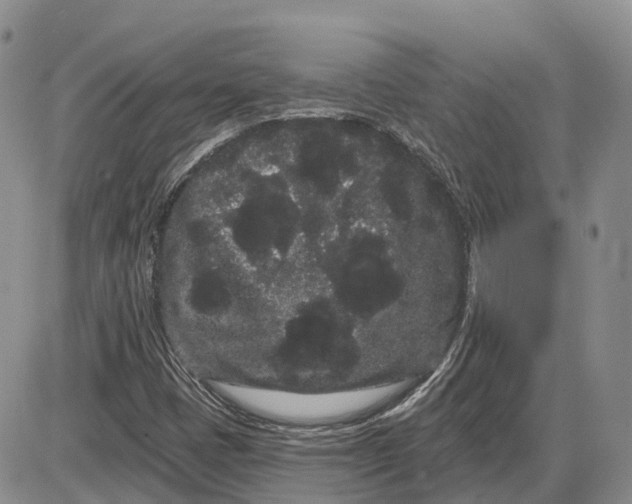 X0000085041401200703191221