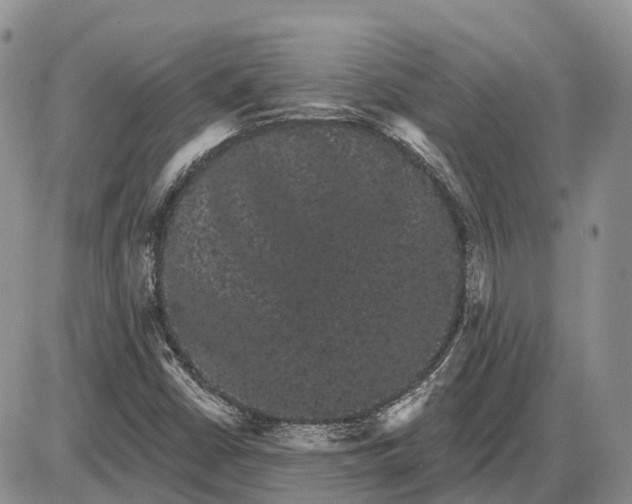 X0000085041402200703191221