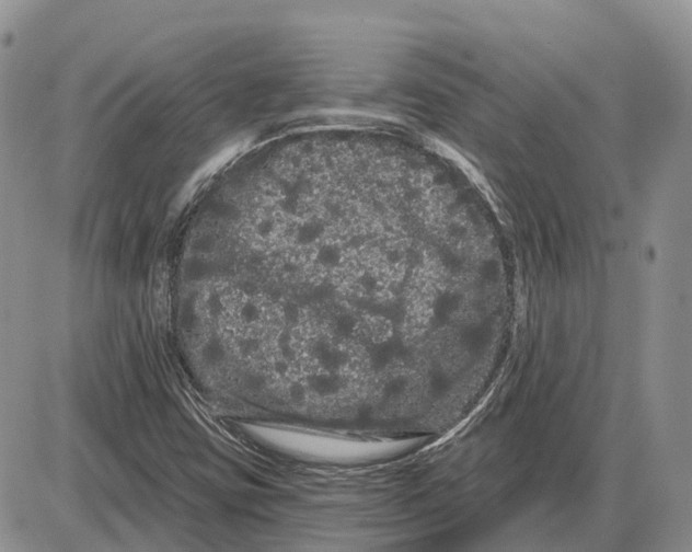 X0000085041403200703191221