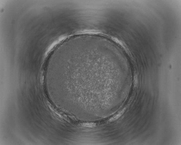 X0000085041406200703191221