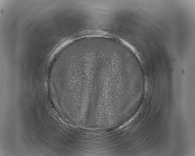 X0000085041407200703191221