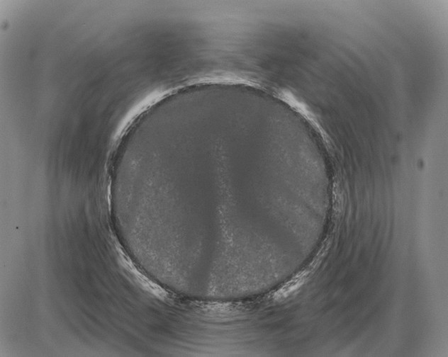 X0000085041408200703191221