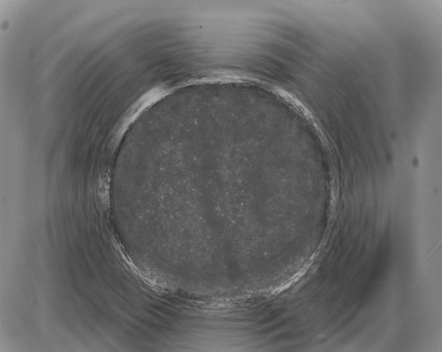 X0000085041409200703191221