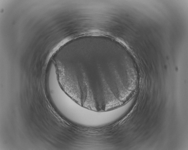 X0000085041410200703191221