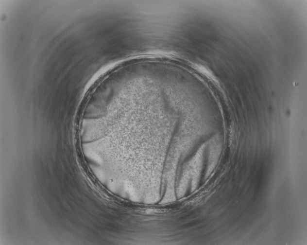 X0000085041412200703191221