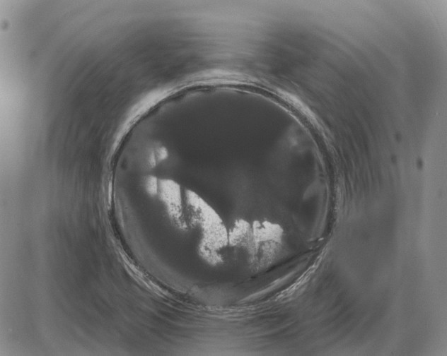 X0000085041413200703191221