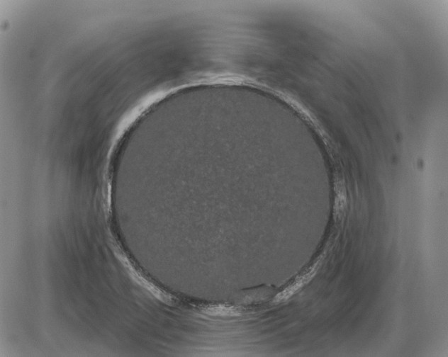 X0000085041414200703191221