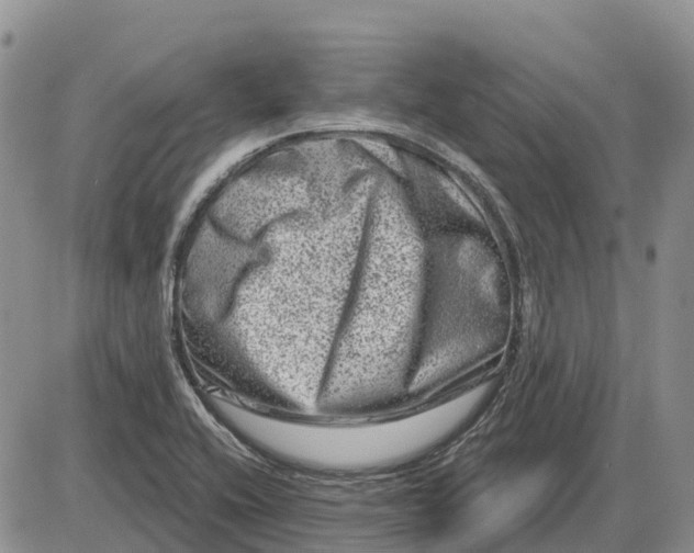 X0000085041416200703191221