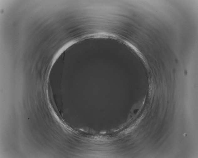 X0000085041418200703191221