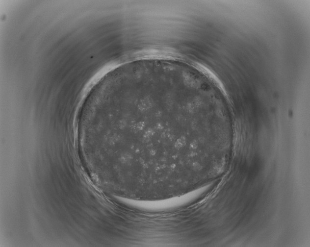 X0000085041419200703191221