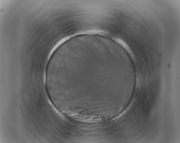 X0000085041420200703191221