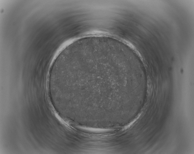 X0000085041421200703191221