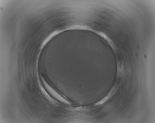 X0000085041422200703191221