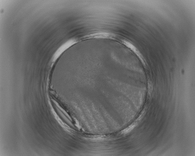 X0000085041426200703191221