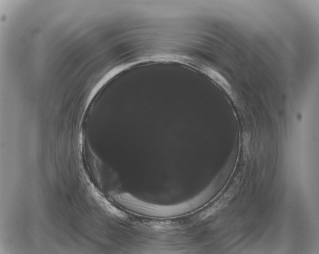 X0000085041428200703191221