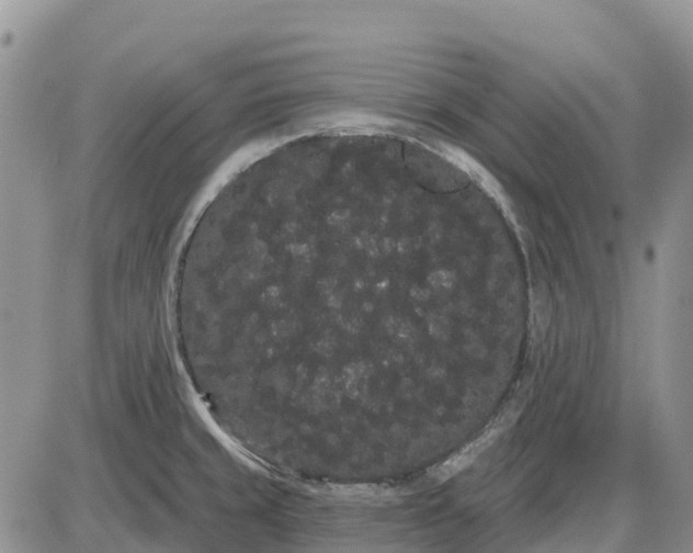 X0000085041429200703191221