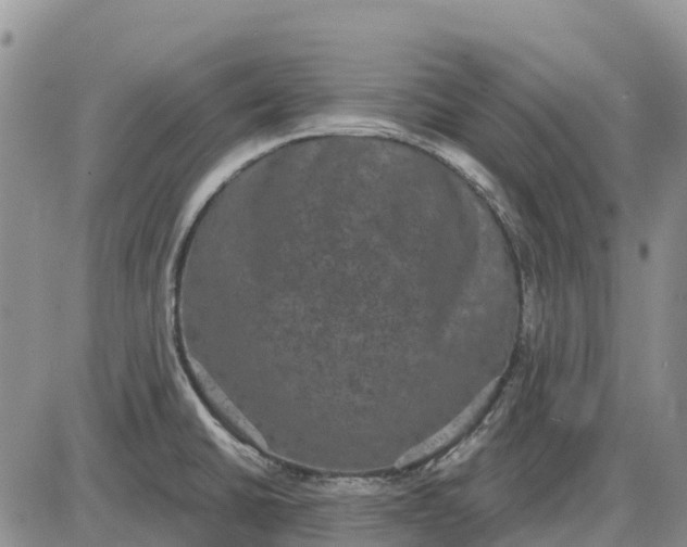 X0000085041430200703191221