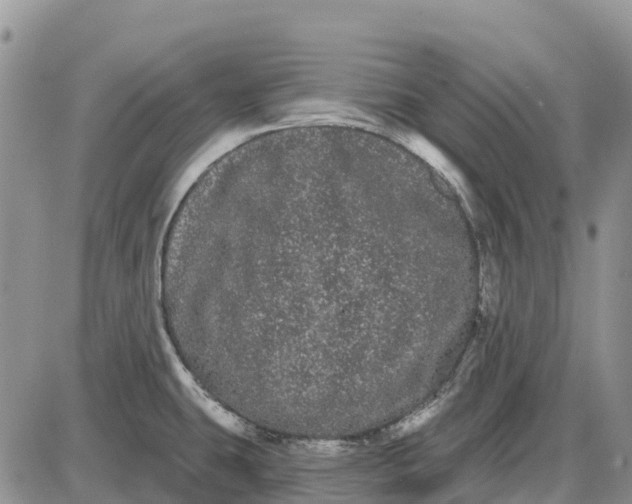 X0000085041431200703191221