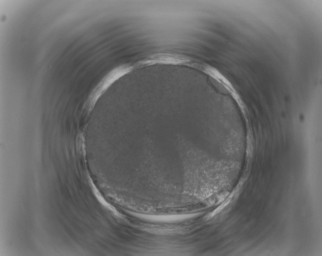 X0000085041433200703191221