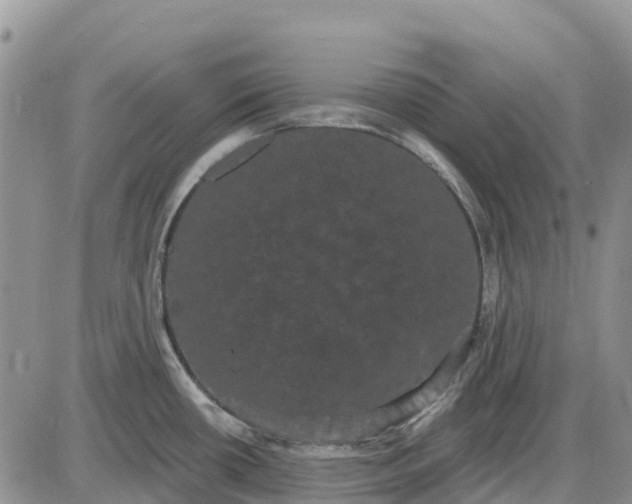 X0000085041434200703191222