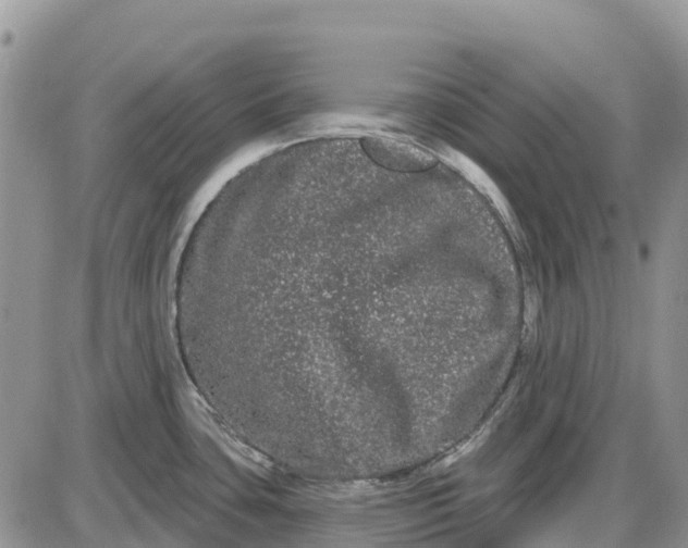 X0000085041435200703191222