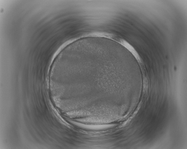 X0000085041436200703191222