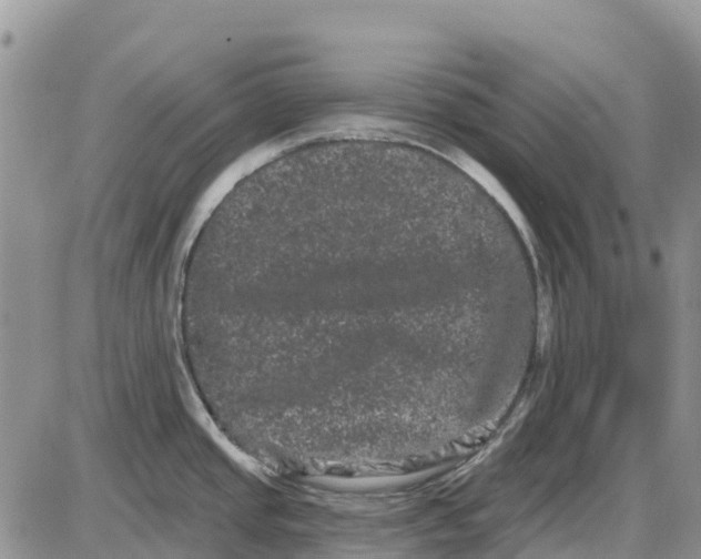 X0000085041437200703191222