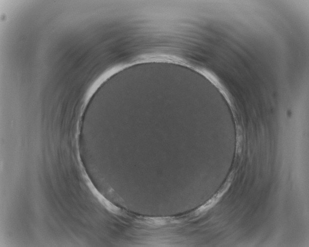 X0000085041438200703191222