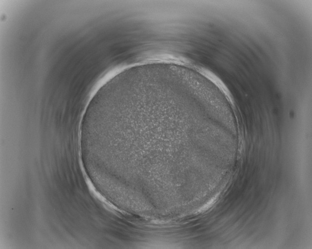 X0000085041439200703191222