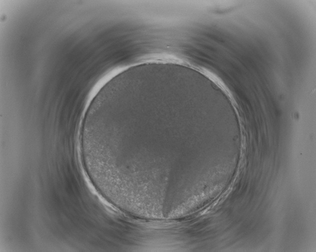 X0000085041440200703191222