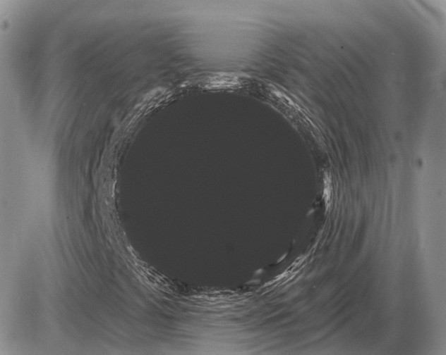 X0000085041441200703191221