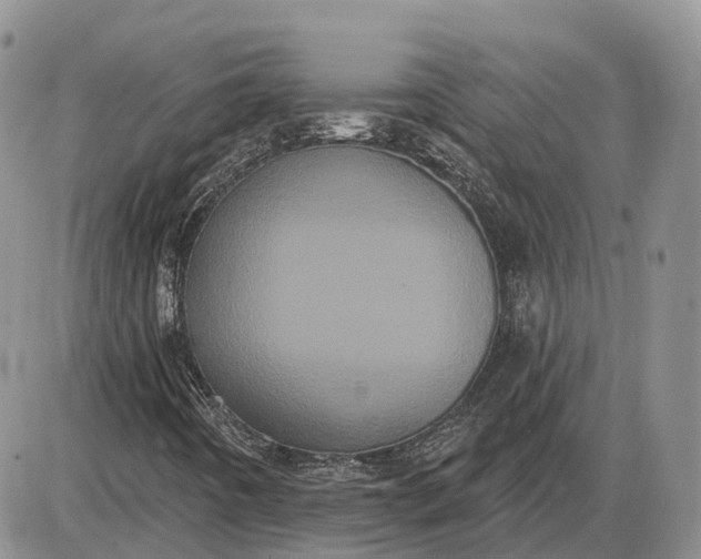 X0000085041442200703191221