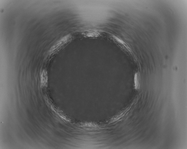 X0000085041443200703191221