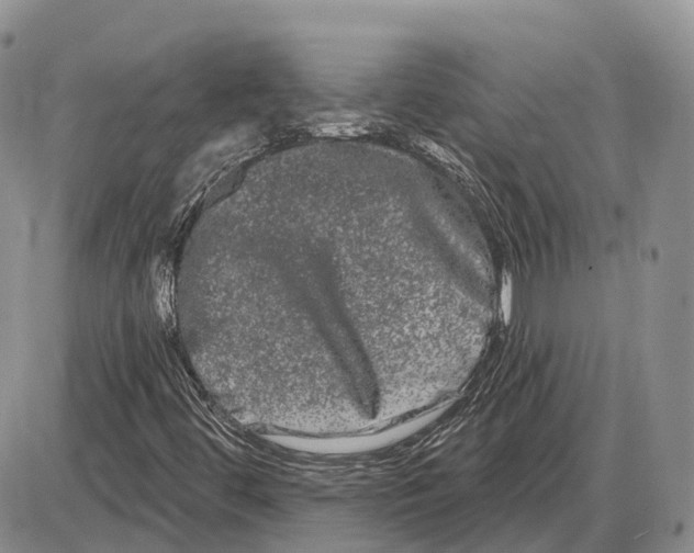 X0000085041444200703191221