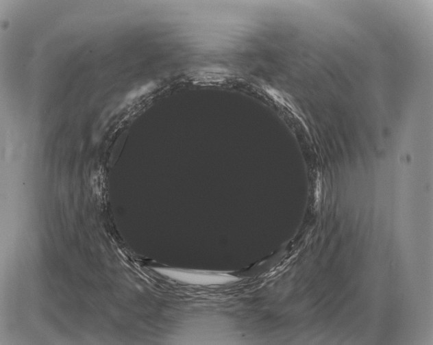 X0000085041445200703191221