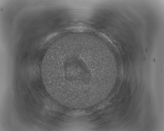 X0000085041446200703191221