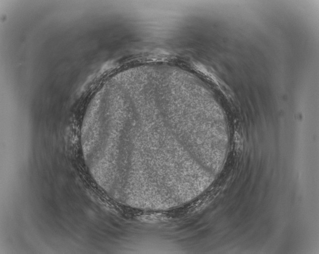 X0000085041447200703191221