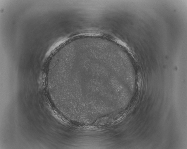 X0000085041448200703191221