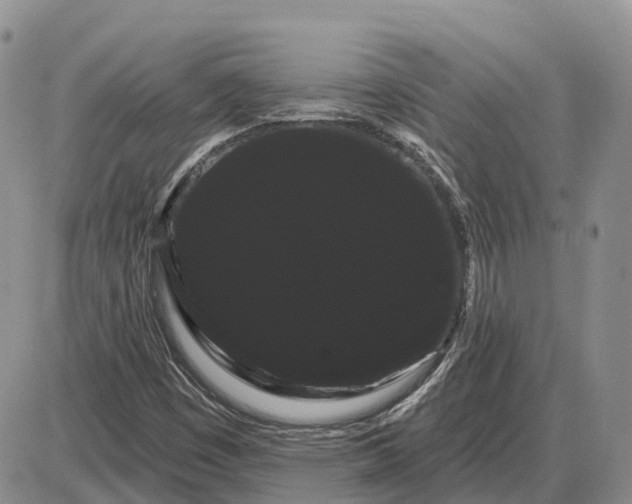 X0000085041449200703191221