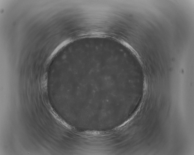 X0000085041450200703191221