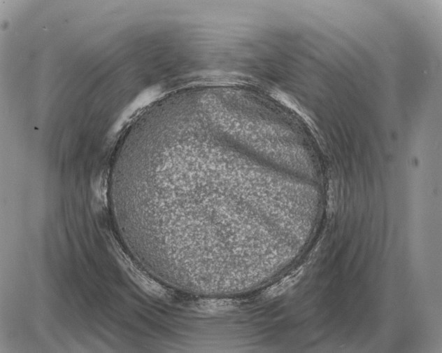 X0000085041451200703191221