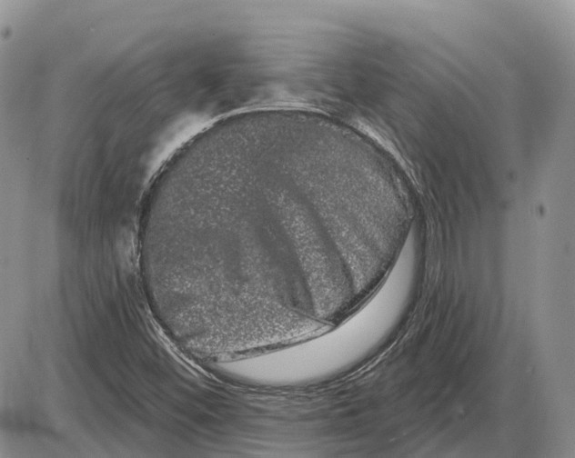 X0000085041452200703191221