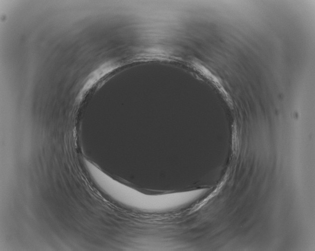 X0000085041453200703191221