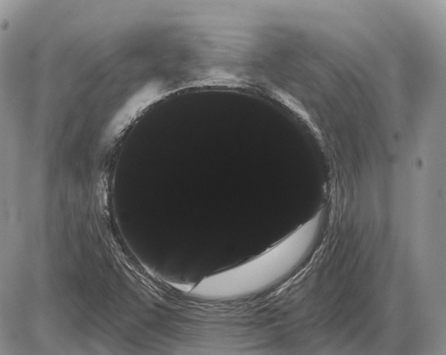 X0000085041455200703191221