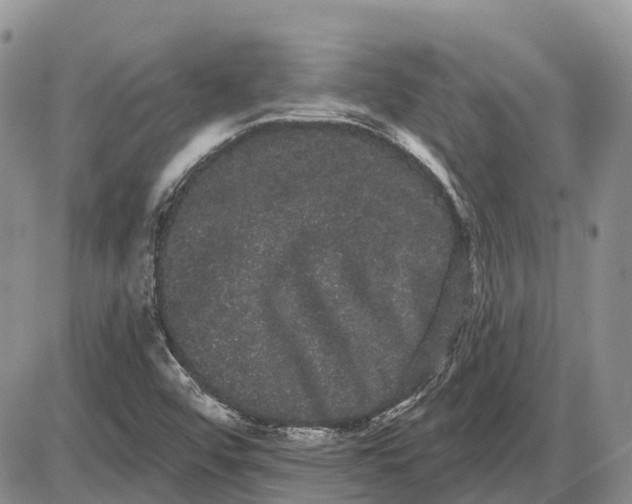 X0000085041456200703191221