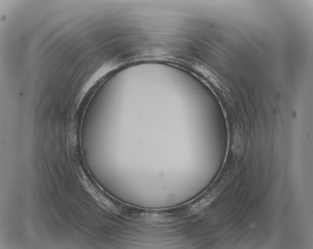 X0000085041458200703191221