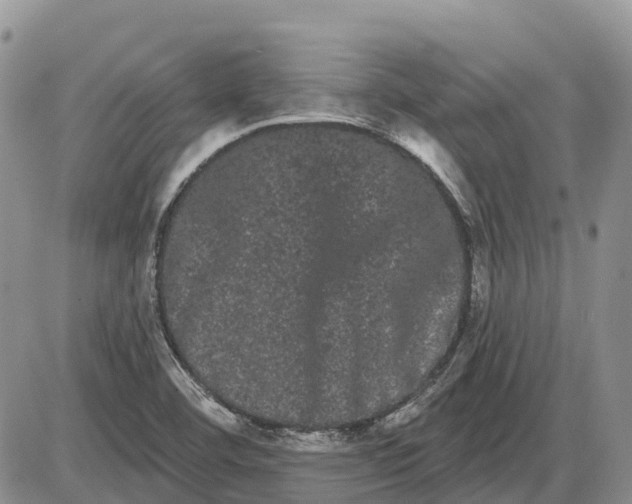 X0000085041460200703191220