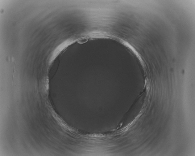 X0000085041461200703191220