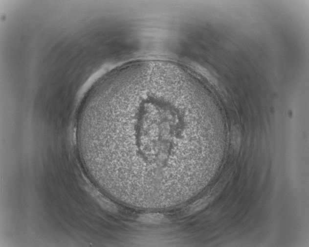 X0000085041462200703191220