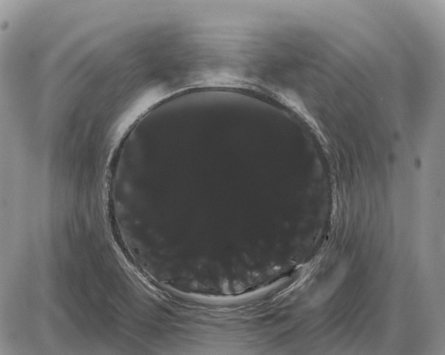 X0000085041463200703191220